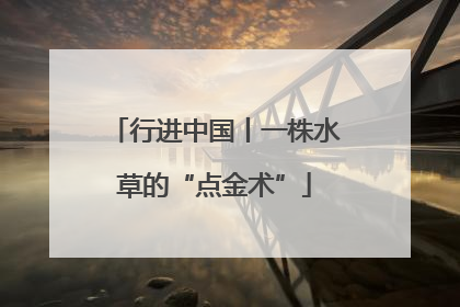 行进中国丨一株水草的“点金术”