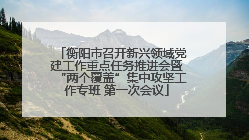 衡阳市召开新兴领域党建工作重点任务推进会暨“两个覆盖”集中攻坚工作专班 第一次会议