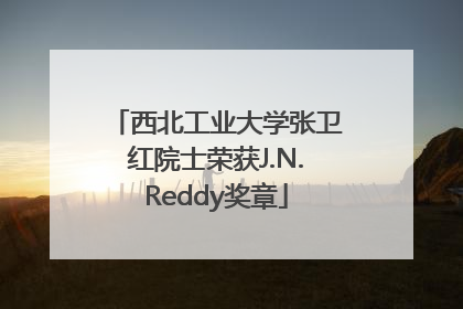 西北工业大学张卫红院士荣获J.N.Reddy奖章