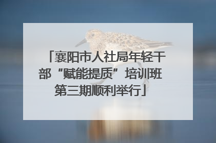 襄阳市人社局年轻干部“赋能提质”培训班第三期顺利举行
