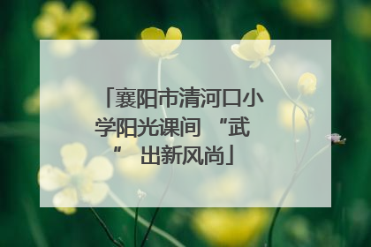 襄阳市清河口小学阳光课间 “武” 出新风尚