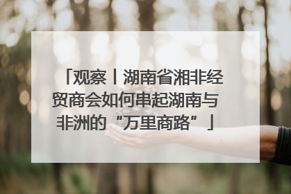 观察丨湖南省湘非经贸商会如何串起湖南与非洲的“万里商路”