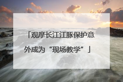 观摩长江江豚保护意外成为“现场教学”