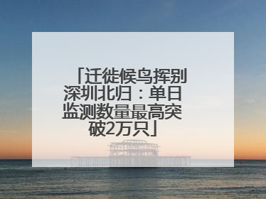迁徙候鸟挥别深圳北归：单日监测数量最高突破2万只