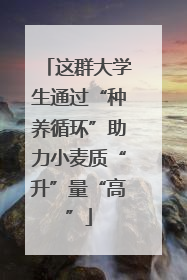 这群大学生通过“种养循环”助力小麦质“升”量“高”