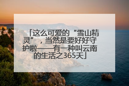 这么可爱的“雪山精灵”，当然是要好好守护啦——有一种叫云南的生活之365天
