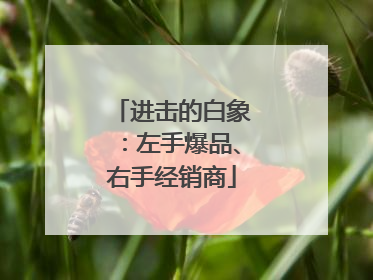 进击的白象：左手爆品、右手经销商