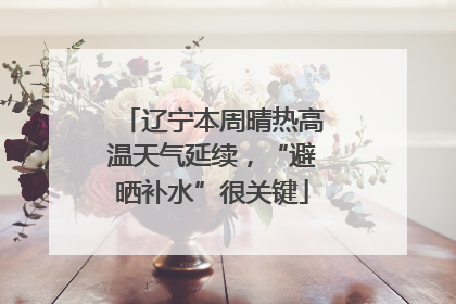 辽宁本周晴热高温天气延续，“避晒补水”很关键