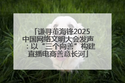 谦寻董海锋2025中国网络文明大会发声：以“三个向善”构建直播电商善意长河