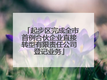 起步区完成全市首例合伙企业直接转型有限责任公司登记业务