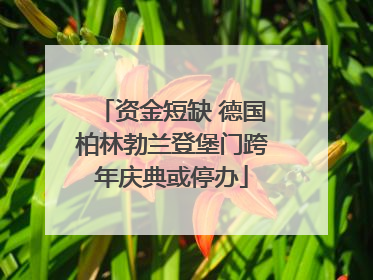 资金短缺 德国柏林勃兰登堡门跨年庆典或停办
