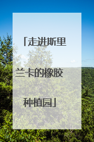 走进斯里兰卡的橡胶种植园