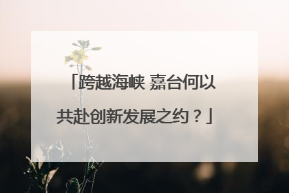 跨越海峡 嘉台何以共赴创新发展之约？