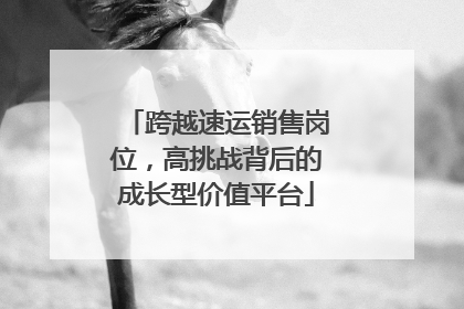 跨越速运销售岗位，高挑战背后的成长型价值平台