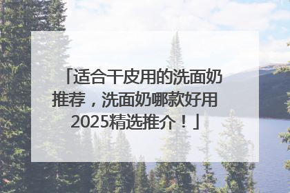 适合干皮用的洗面奶推荐，洗面奶哪款好用2025精选推介！