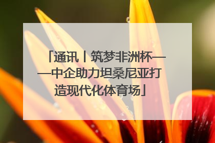 通讯丨筑梦非洲杯——中企助力坦桑尼亚打造现代化体育场