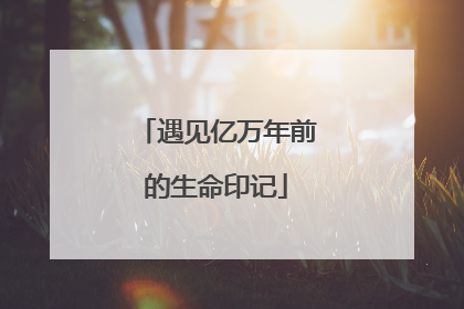 遇见亿万年前的生命印记