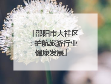邵阳市大祥区：护航旅游行业健康发展