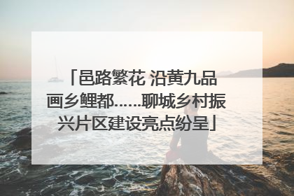 邑路繁花 沿黄九品 画乡鲤都……聊城乡村振兴片区建设亮点纷呈