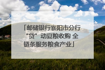 邮储银行襄阳市分行“贷”动夏粮收购 全链条服务粮食产业