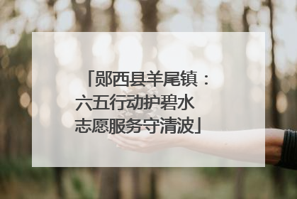 郧西县羊尾镇：六五行动护碧水 志愿服务守清波