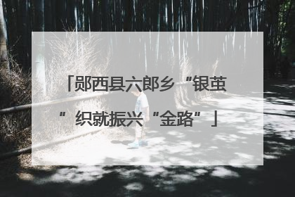 郧西县六郎乡“银茧”织就振兴“金路”