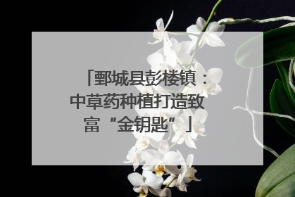 鄄城县彭楼镇：中草药种植打造致富“金钥匙”