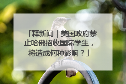 释新闻｜美国政府禁止哈佛招收国际学生，将造成何种影响？