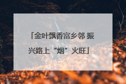 金叶飘香富乡邻 振兴路上“烟”火旺