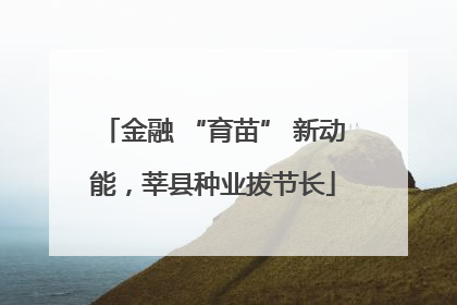 金融 “育苗” 新动能，莘县种业拔节长