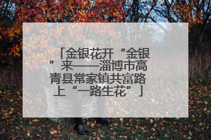 金银花开“金银”来——淄博市高青县常家镇共富路上“一路生花”
