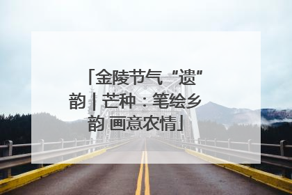 金陵节气“遗”韵｜芒种：笔绘乡韵 画意农情
