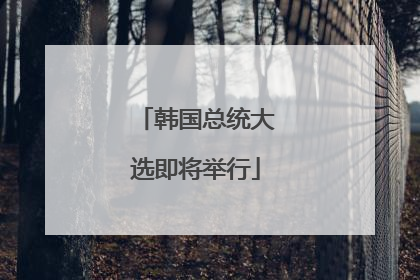 韩国总统大选即将举行
