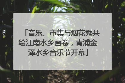 音乐、市集与烟花秀共绘江南水乡画卷，青浦金泽水乡音乐节开幕
