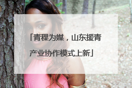 青稞为媒，山东援青产业协作模式上新