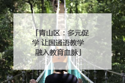 青山区：多元促学 让国通语教学融入教育血脉