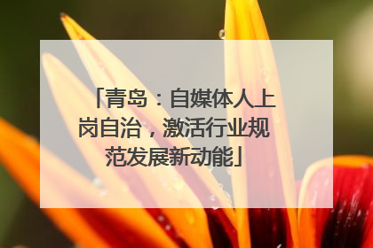 青岛：自媒体人上岗自治，激活行业规范发展新动能