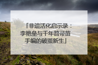 非遗活化启示录：李艳垒与千年笤帚苗手编的破茧新生