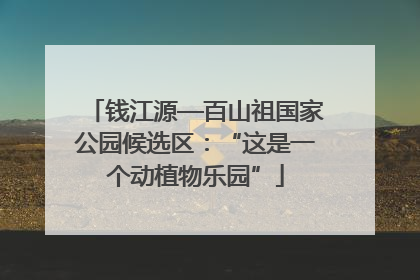 钱江源—百山祖国家公园候选区：“这是一个动植物乐园”