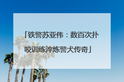 铁警苏亚伟：数百次扑咬训练淬炼警犬传奇