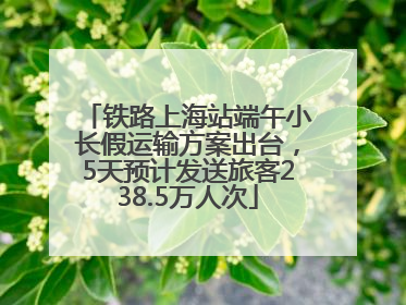铁路上海站端午小长假运输方案出台，5天预计发送旅客238.5万人次