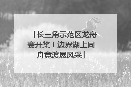 长三角示范区龙舟赛开桨！边界湖上同舟竞渡展风采