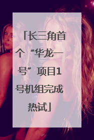 长三角首个“华龙一号”项目1号机组完成热试