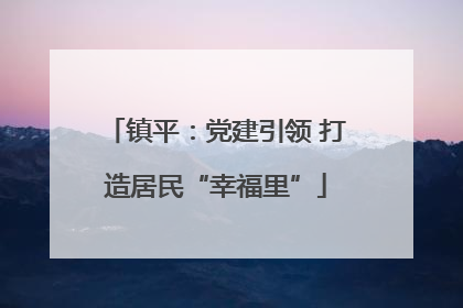 镇平：党建引领 打造居民“幸福里”