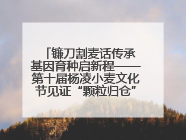 镰刀割麦话传承 基因育种启新程——第十届杨凌小麦文化节见证“颗粒归仓”时空跨越