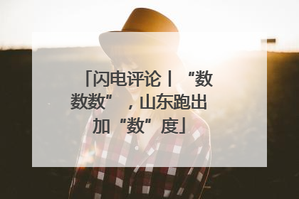 闪电评论丨“数数数”，山东跑出加“数”度