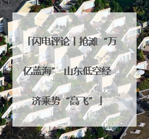 闪电评论丨抢滩“万亿蓝海” 山东低空经济乘势“高飞”