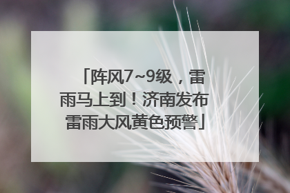 阵风7~9级，雷雨马上到！济南发布雷雨大风黄色预警
