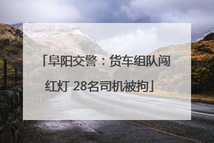 阜阳交警：货车组队闯红灯 28名司机被拘