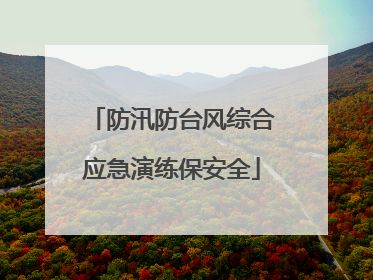 防汛防台风综合应急演练保安全